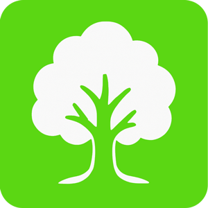 Эко-Фестиваль