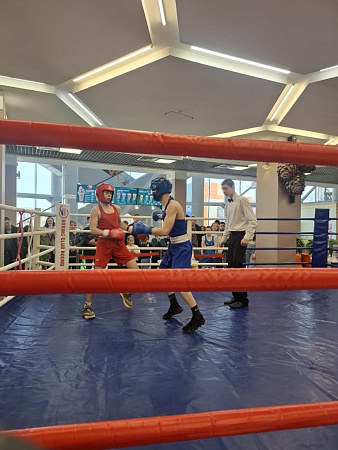 Открытый ринг по боксу