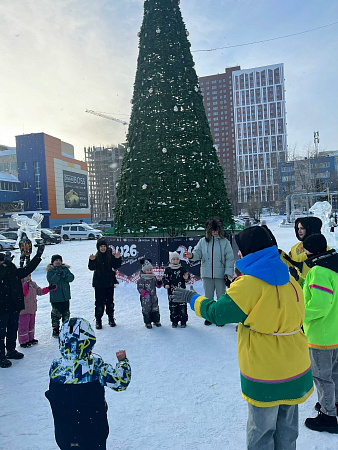 Ледовый городок «Пластилиновая ворона» 