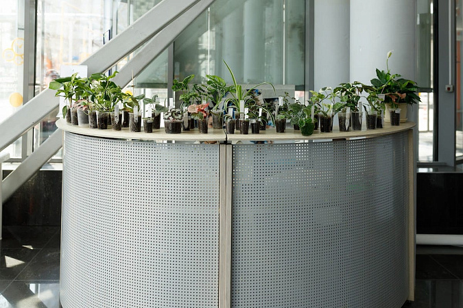 Строительные выходные 26-27 апреля