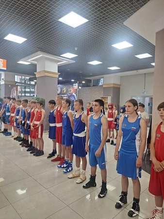 Открытый турнир по боксу