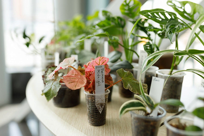 Строительные выходные 26-27 апреля