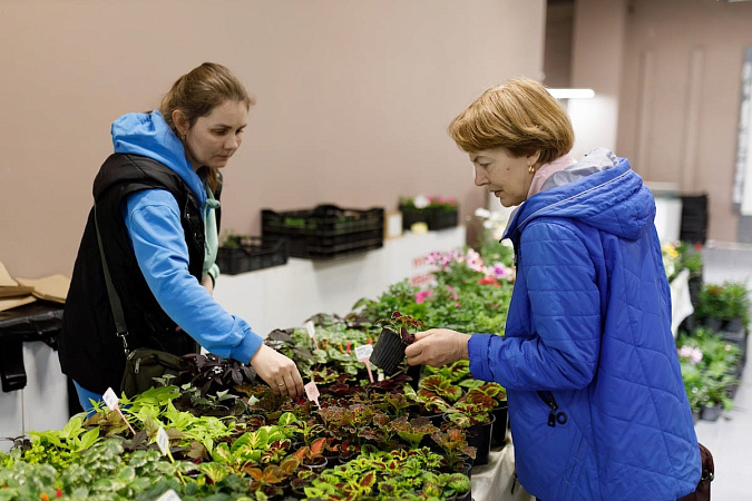 Строительные выходные 26-27 апреля