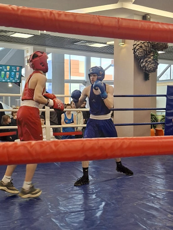 Открытый ринг по боксу